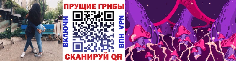 Псилоцибиновые грибы мицелий  Долинск 